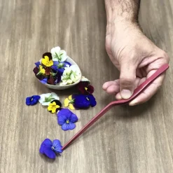 Pinza de emplatar Rojo mate