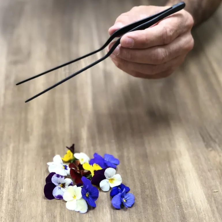 Pinza para emplatar Negra